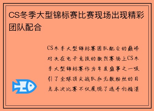 CS冬季大型锦标赛比赛现场出现精彩团队配合