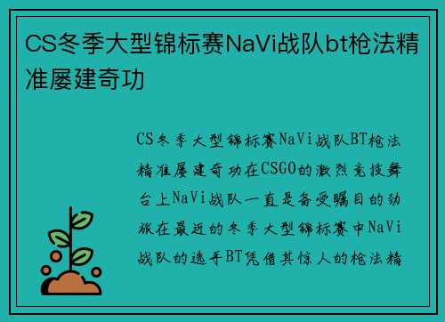 CS冬季大型锦标赛NaVi战队bt枪法精准屡建奇功