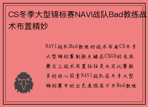 CS冬季大型锦标赛NAVI战队Bad教练战术布置精妙